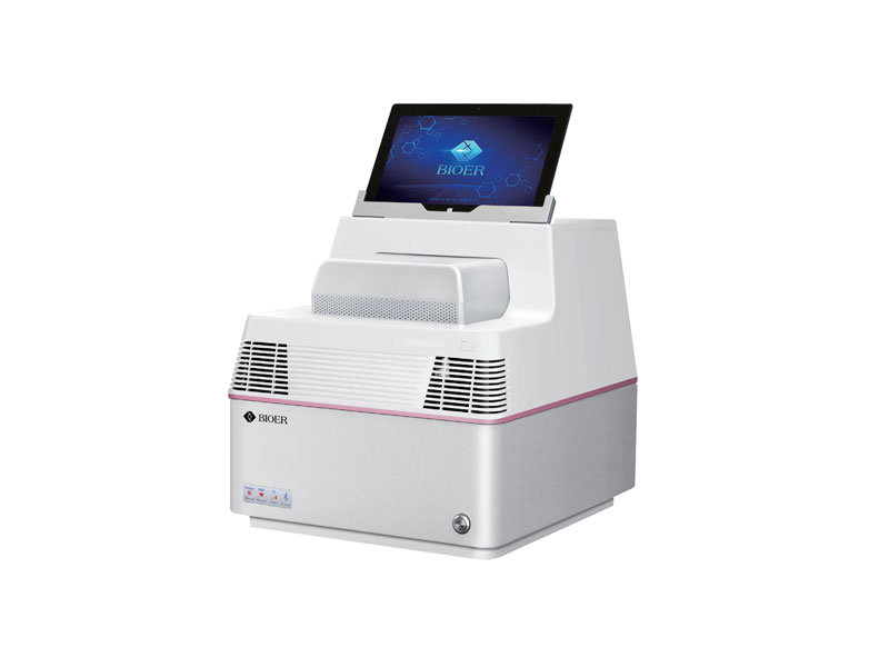 石鼓杭州博日荧光定量PC